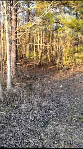 2727 Wire Rd, Erwin, NC 28339