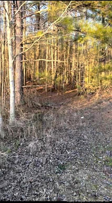 2727 Wire Rd, Erwin, NC 28339