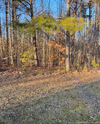 2727 Wire Rd, Erwin, NC 28339