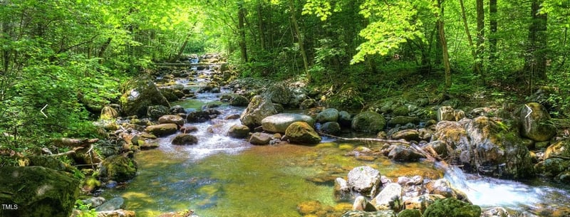 273 Blufftonwood Dr, Pittsboro, NC 27312