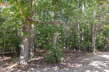 27418 Walker  Lot 768, Chapel Hill, NC 27517
