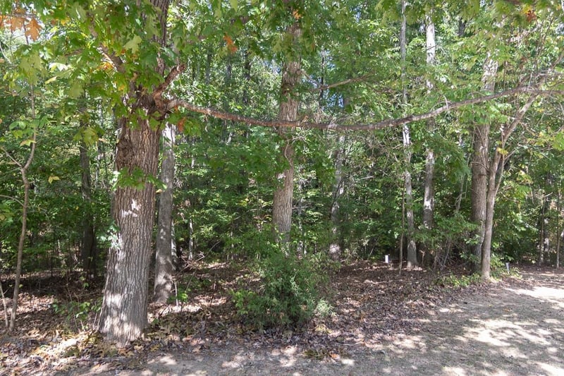 27418 Walker Lot 768, Chapel Hill, NC 27517