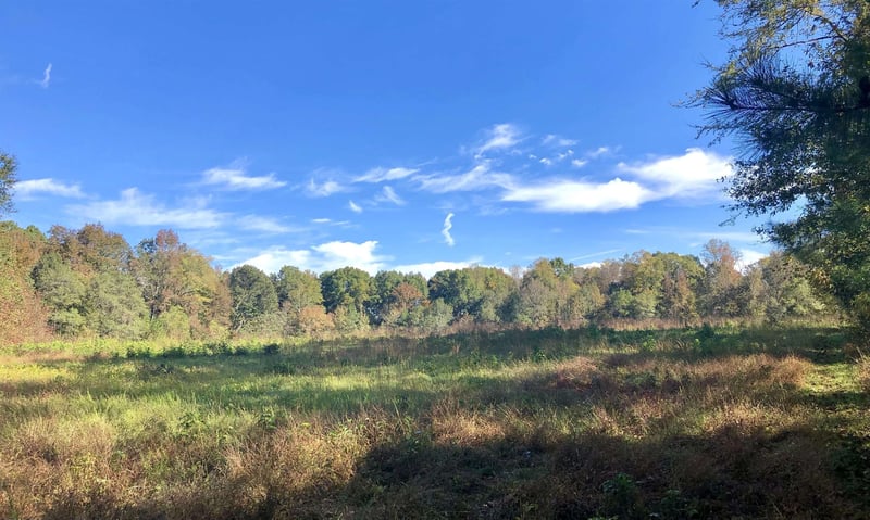 2747 Mays Chapel Rd Lot #, Sanford, NC 27330