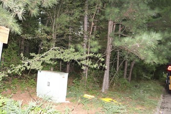 2750 Holloway St, Durham, NC 27703