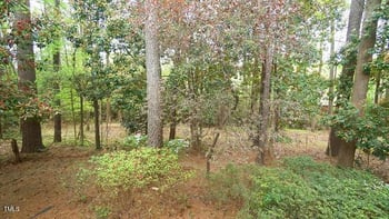2765 Rue Sans Famille, Raleigh, NC 27607