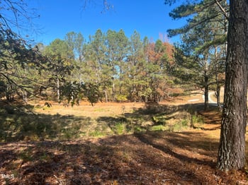 277 Rainforest Pl, Apex, NC 27523