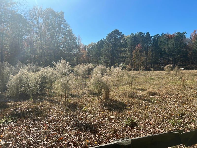 277 Rainforest Pl, Apex, NC 27523