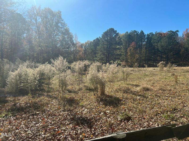 277 Rainforest Pl, Apex, NC 27523