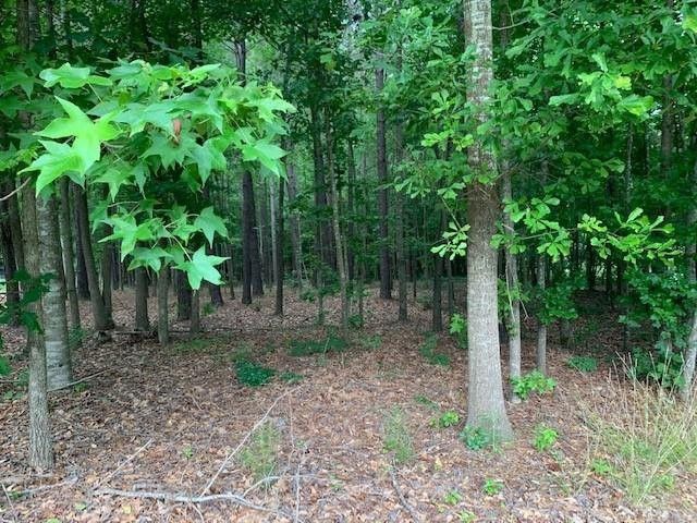 278 Crimson Oak Dr Lot 148, Durham, NC 27713