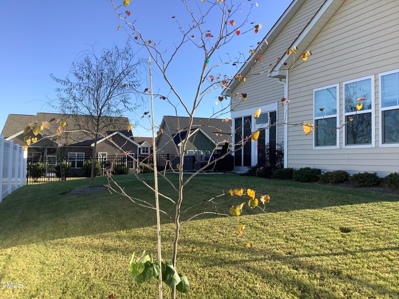 28 Moon Flower Walk, Youngsville, NC 27596