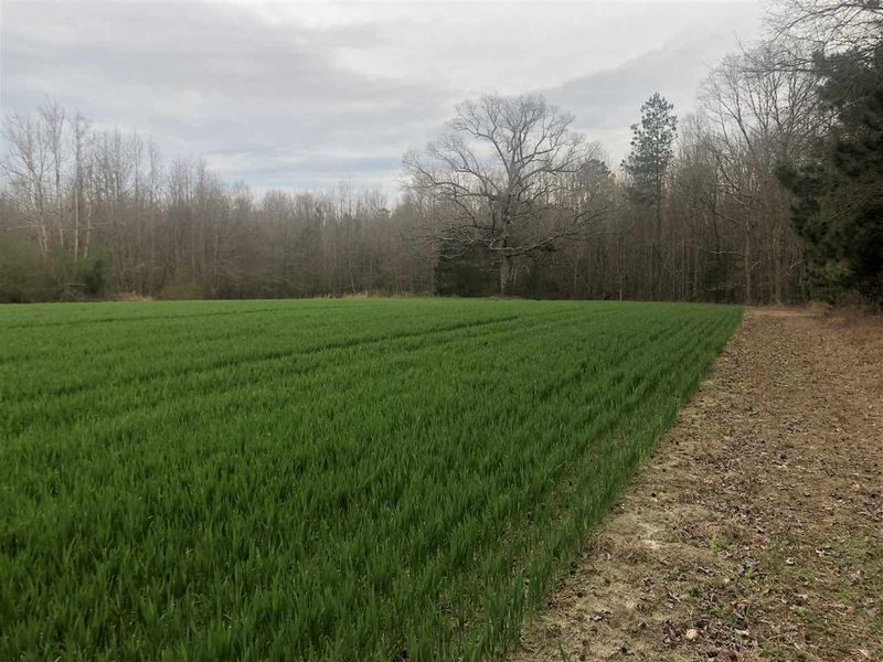 2800 Edgemont Dr Lot 1, Wendell, NC 27591