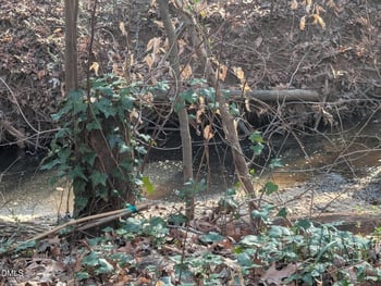 2801 Trailwood Pines Ln #104, Raleigh, NC 27603