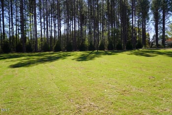 2805 Theresa Eileen Way, Raleigh, NC 27603