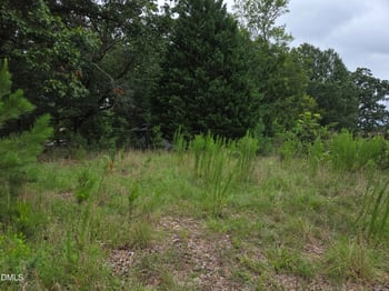 2808 Durham Rd, Wake Forest, NC 27587