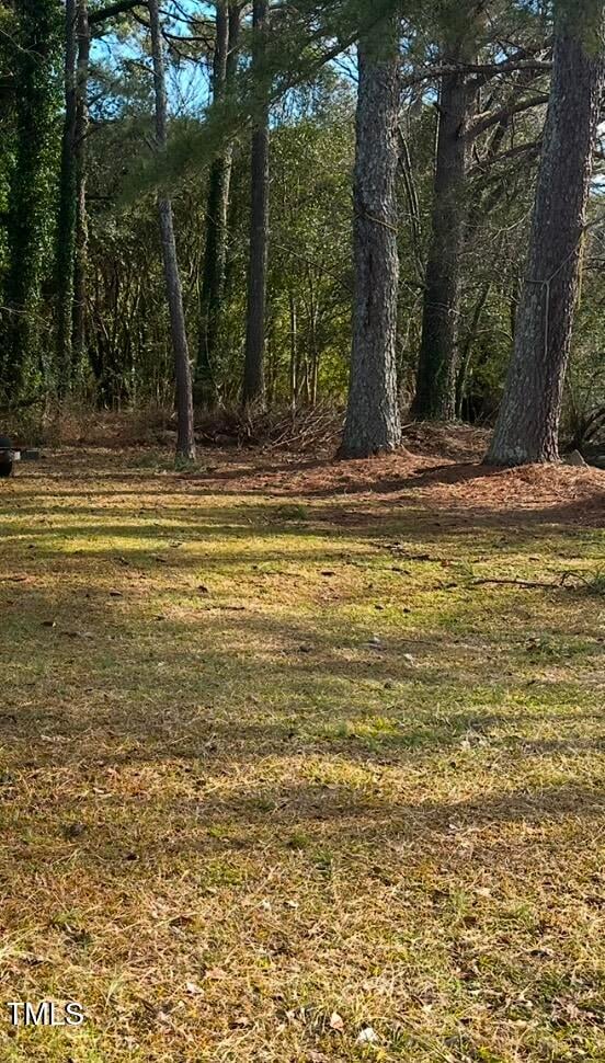 2809 Sadie Hopkins St, Raleigh, NC 27603