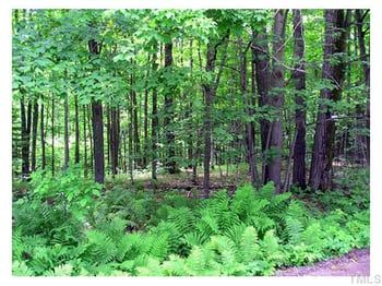 2809 Us 64 , Apex, NC 27523