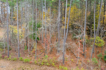 281 Mill Bend Dr Lot 68, Fuquay Varina, NC 27526