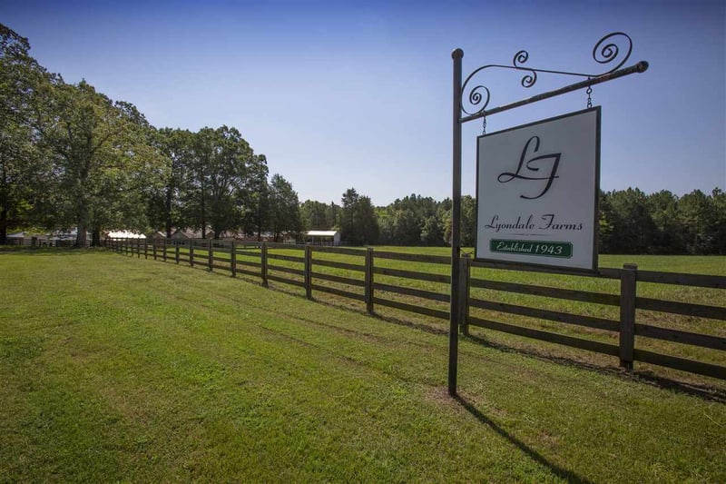 2810 Old Oxford Hw, Durham, NC 27712