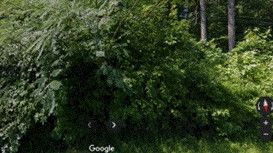 2818 Glover Rd Lot 163189, Durham, NC 27703