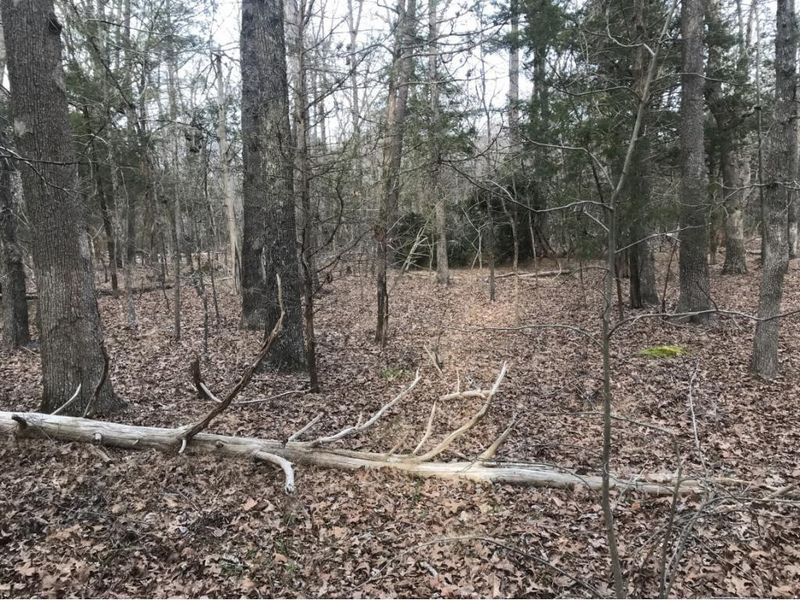 2823 Violet Ln, Mebane, NC 27302