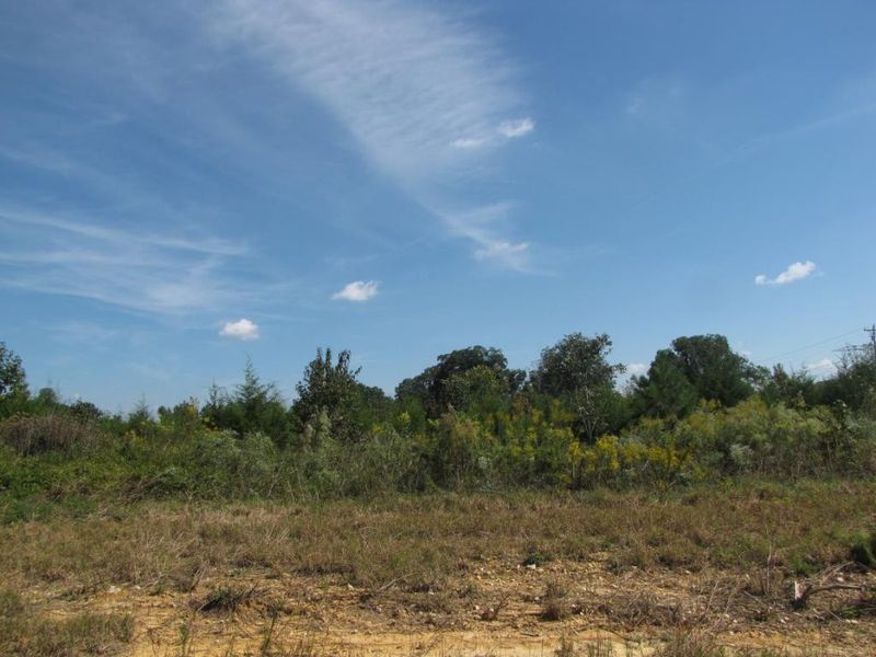 2828 Cornfield, Snow Camp, NC 27349