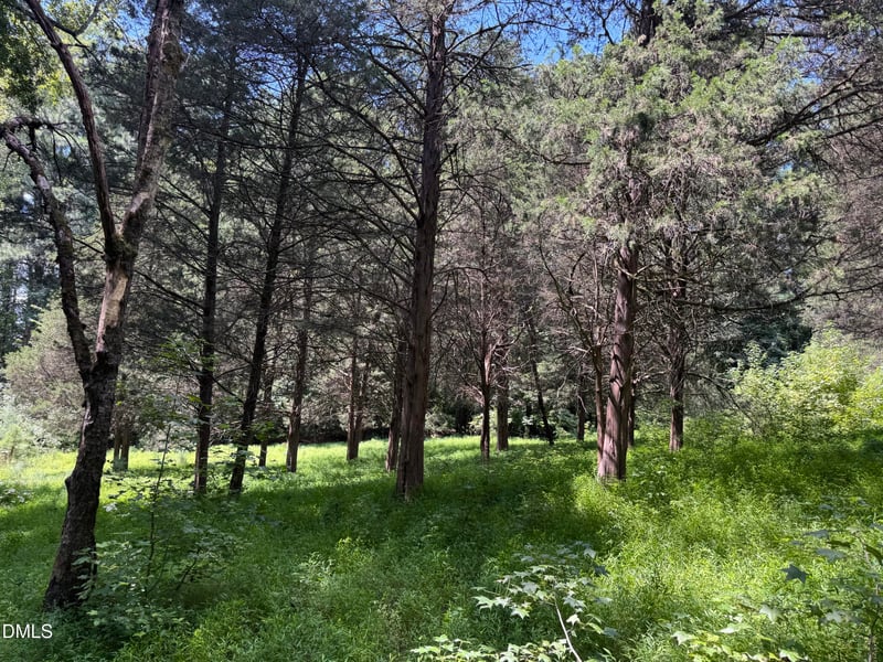 2839 Us 70 Hw Lot 1, Durham, NC 27703