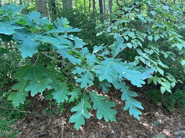 285 River Bluff Dr Lot 4, Pittsboro, NC 27312