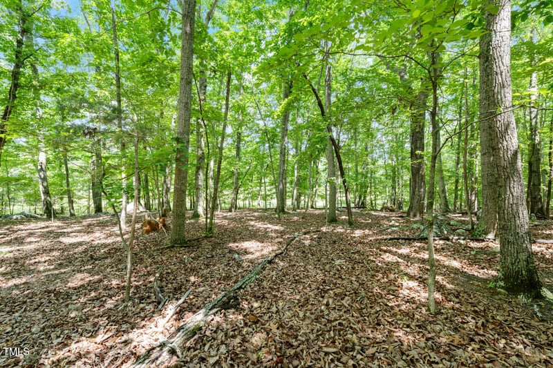 2853 Franklin Rd, Hillsborough, NC 27278