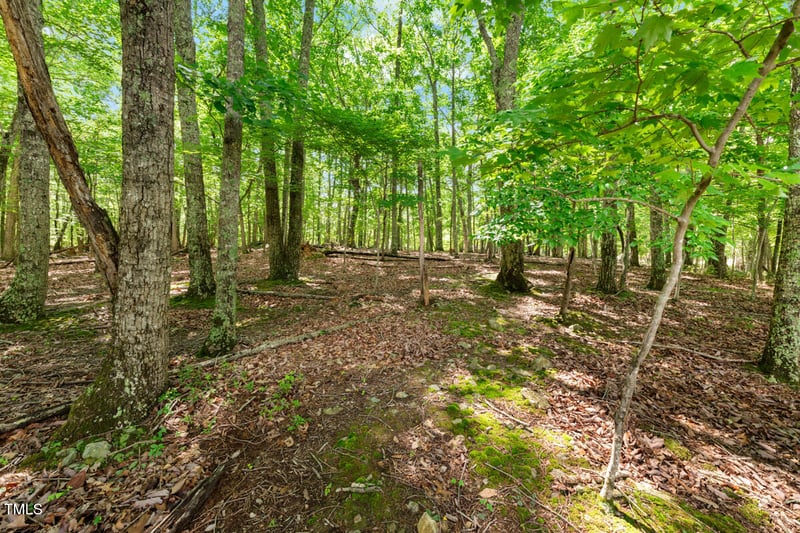 2853 Franklin Rd, Hillsborough, NC 27278