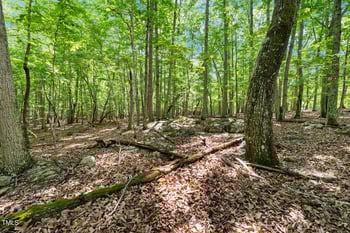 2853 Franklin Rd, Hillsborough, NC 27278