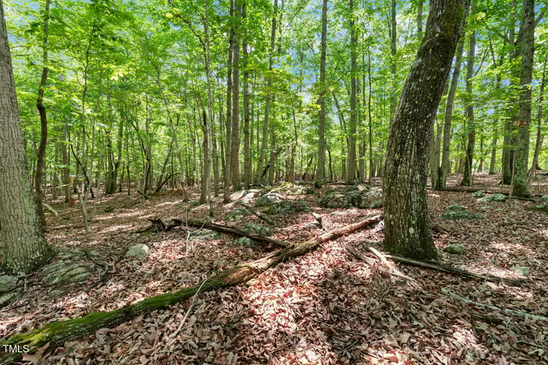 2853 Franklin Rd, Hillsborough, NC 27278