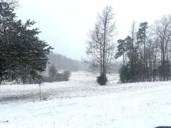 2853 Franklin Rd, Hillsborough, NC 27278