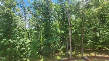 286 Beech Slope Ct, Chapel Hill, NC 27517