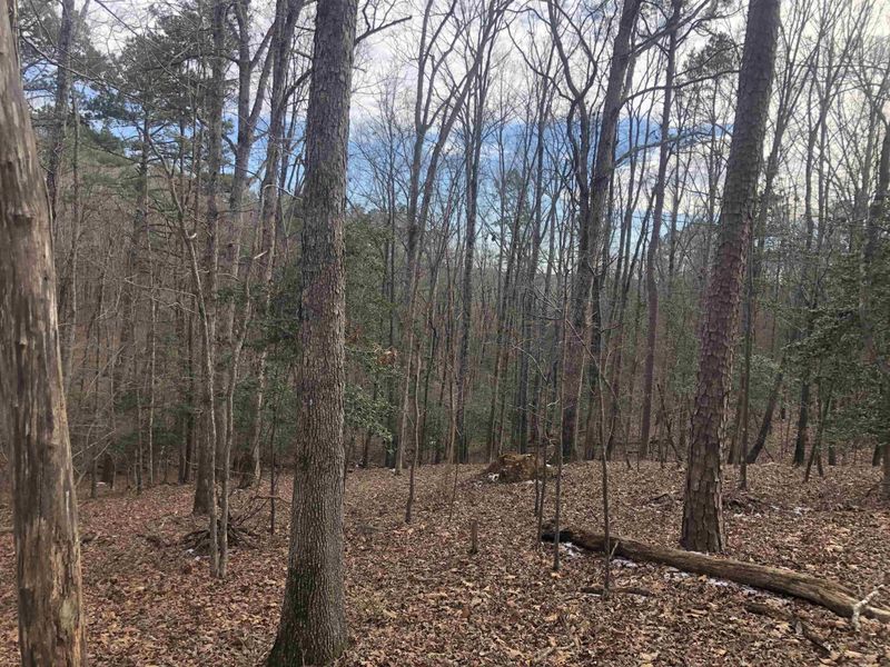 286 Osprey Dr Lot 7, Chapel Hill, NC 27517