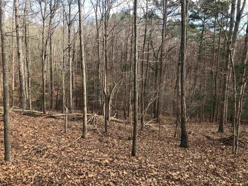 286 Osprey Dr Lot 7, Chapel Hill, NC 27517
