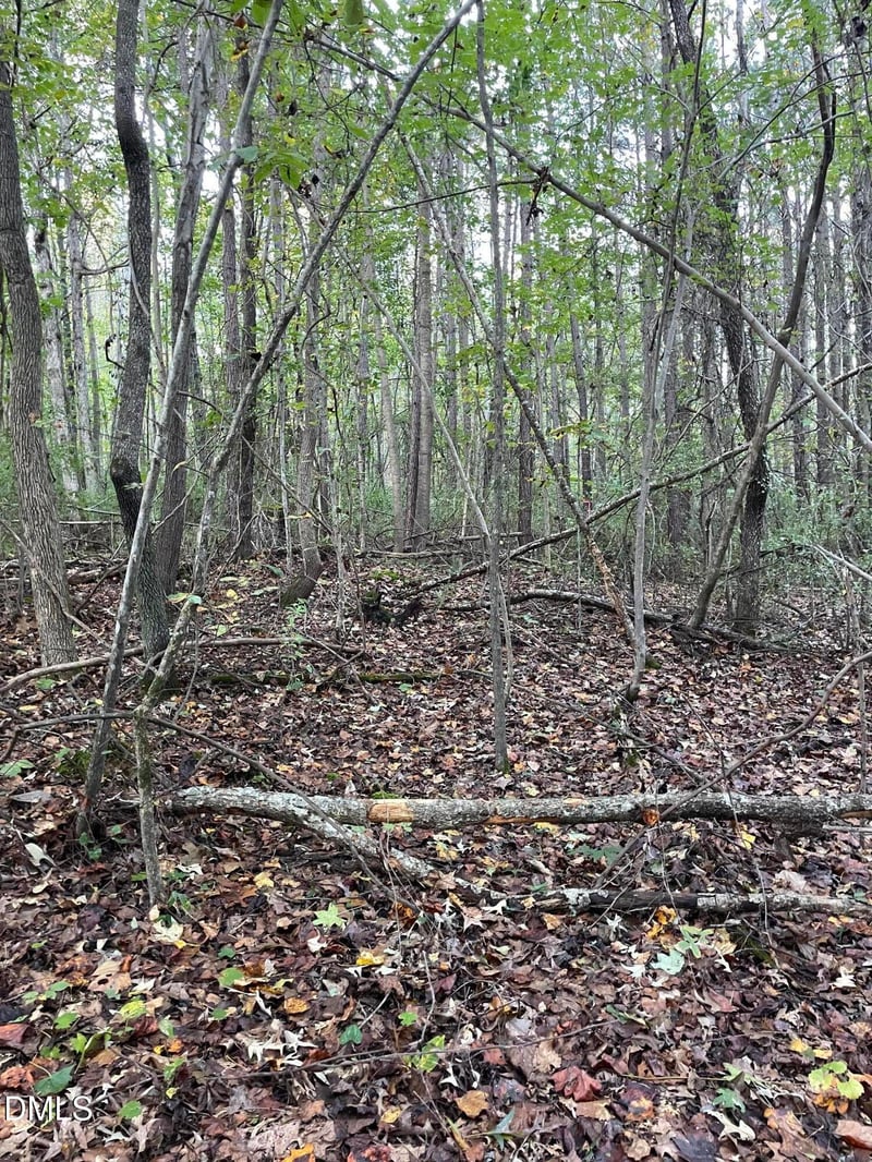 2865 Silk Hope Gum Springs Rd, Pittsboro, NC 27312