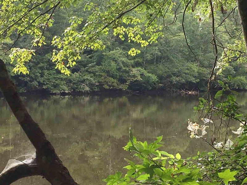 287 E Hawfields Rd Lot 7, Pittsboro, NC 27312