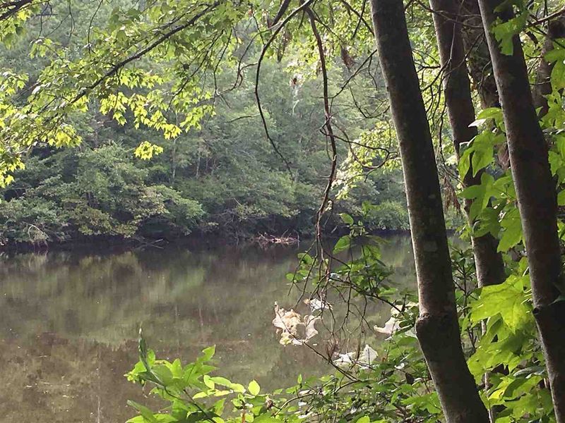 287 E Hawfields Rd Lot 7, Pittsboro, NC 27312