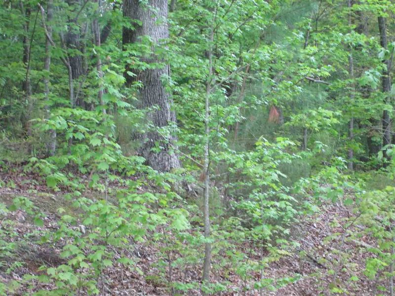 287 Ross Dr Lot 11, Pittsboro, NC 27312
