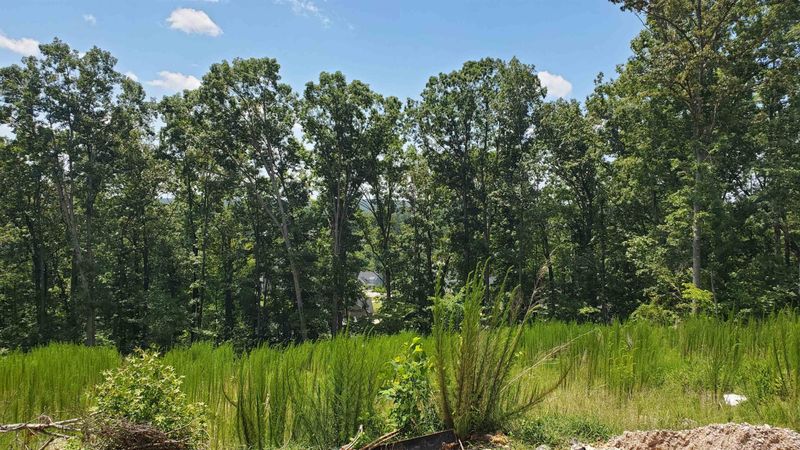 289 W Beech Slope Ct, Chapel Hill, NC 27517