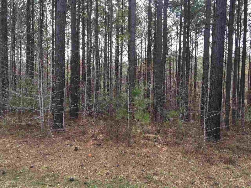 289 Berry Patch Dr Lot 747, Pittsboro, NC 27312