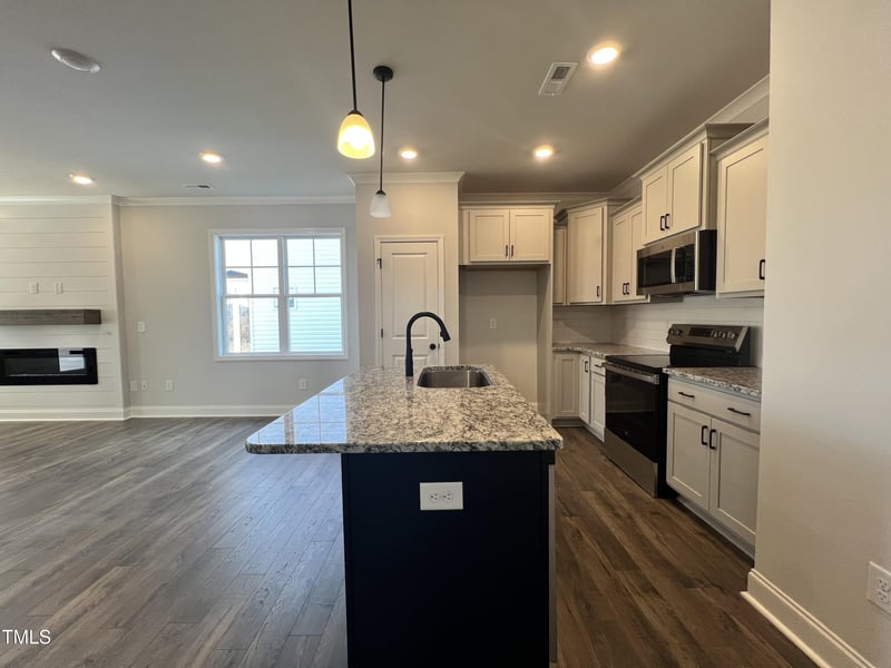 29 S Mistflower St, Clayton, NC 27520