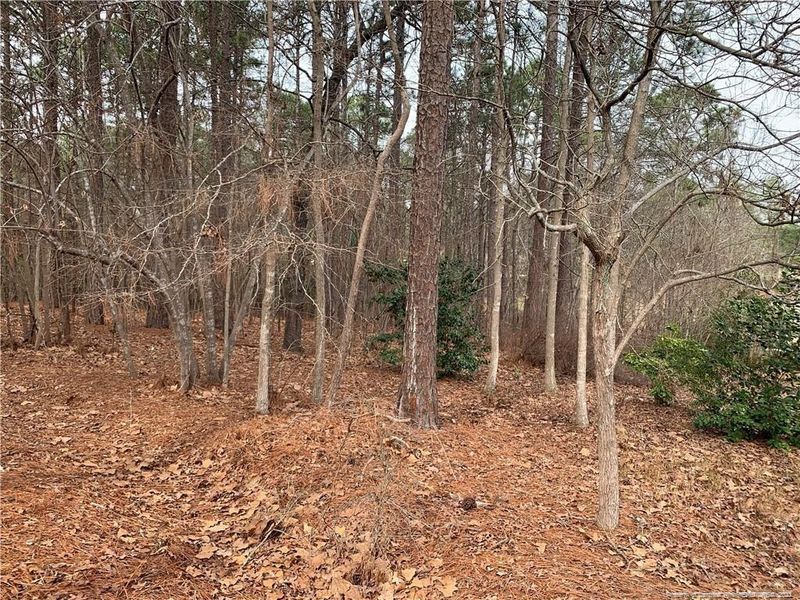 29 Tee Trl, Sanford, NC 27332