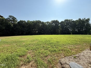 290 Busterfield Ct, Benson, NC 27504