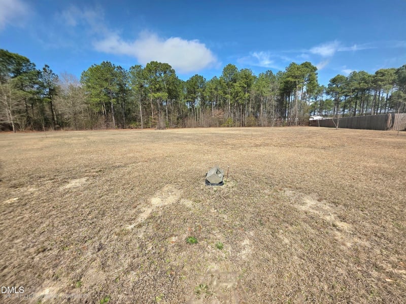 290 Raynor Sands Dr, Dunn, NC 28334