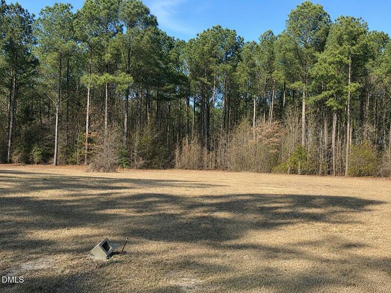 290 Raynor Sands Dr, Dunn, NC 28334