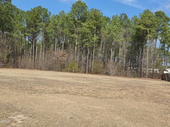 290 Raynor Sands Dr Lot 14, Dunn, NC 28334