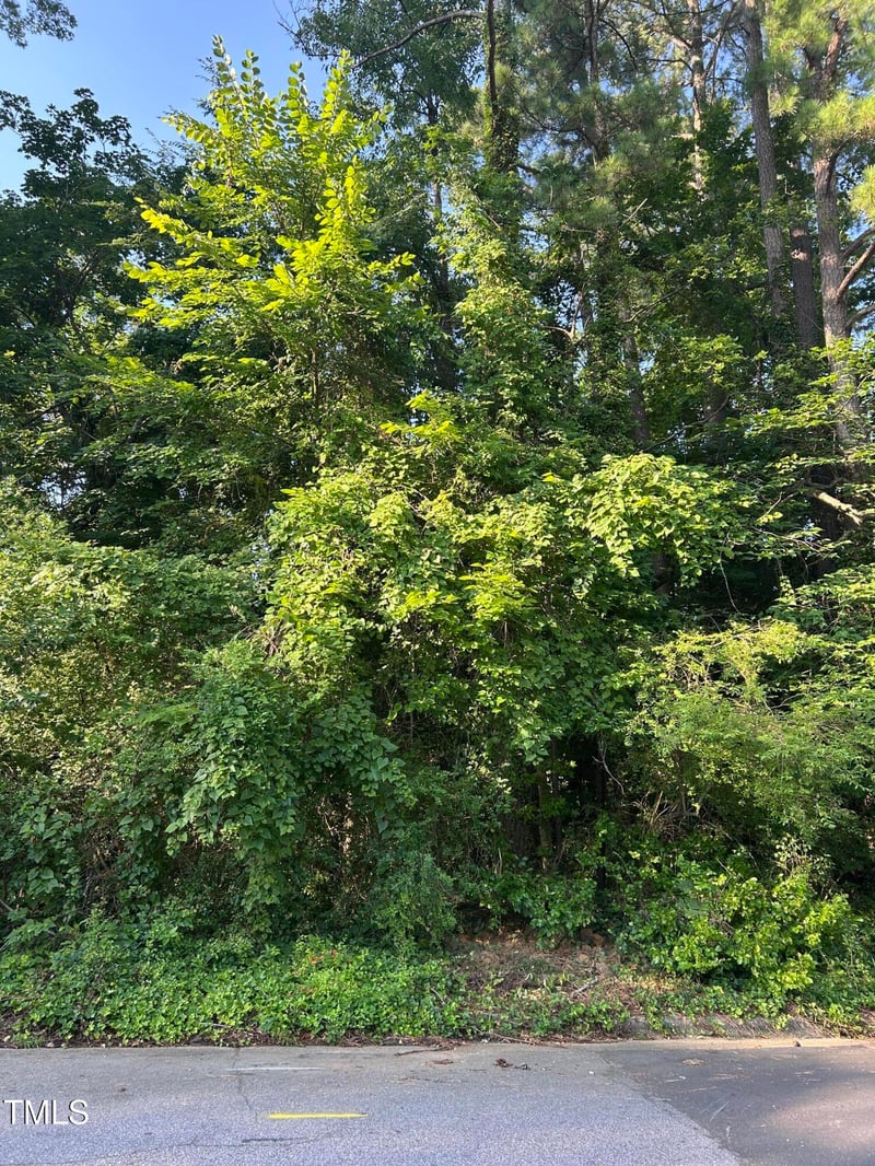 2900 Cammie St Lot 18AB/19A, Durham, NC 27705