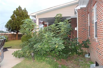 2902 Lambrusco Pl, Fayetteville, NC 28306