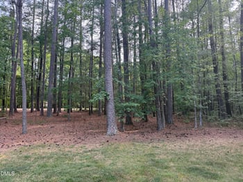 2902 Saddle Dr, Durham, NC 27712